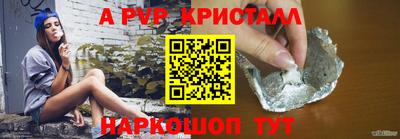 спиды Бердск