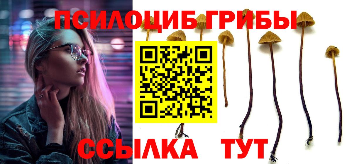 наркота  Вход с VPN  Нерюнгри  Галлюциногенные грибы Cubensis 